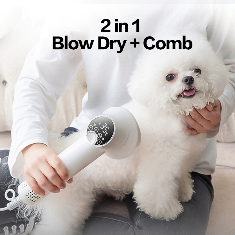 Manufacturer wholesale temperature control grooming pet hair dryer