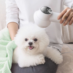 Manufacturer wholesale temperature control grooming pet hair dryer