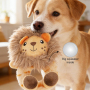 Wholesale Custom Logo Chew Squeaky Dog Plush Toys
