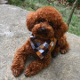 Wholesale Mix Pattern Color Packing Buckle Pet Dog Bandana Collar