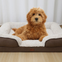 Manufacturer wholesale custom logo luxury washable dog large bed egg foam