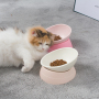 Manufacturer wholesale decent quality Non-slip portable detachable silicone adjustable angle pet dog bowl