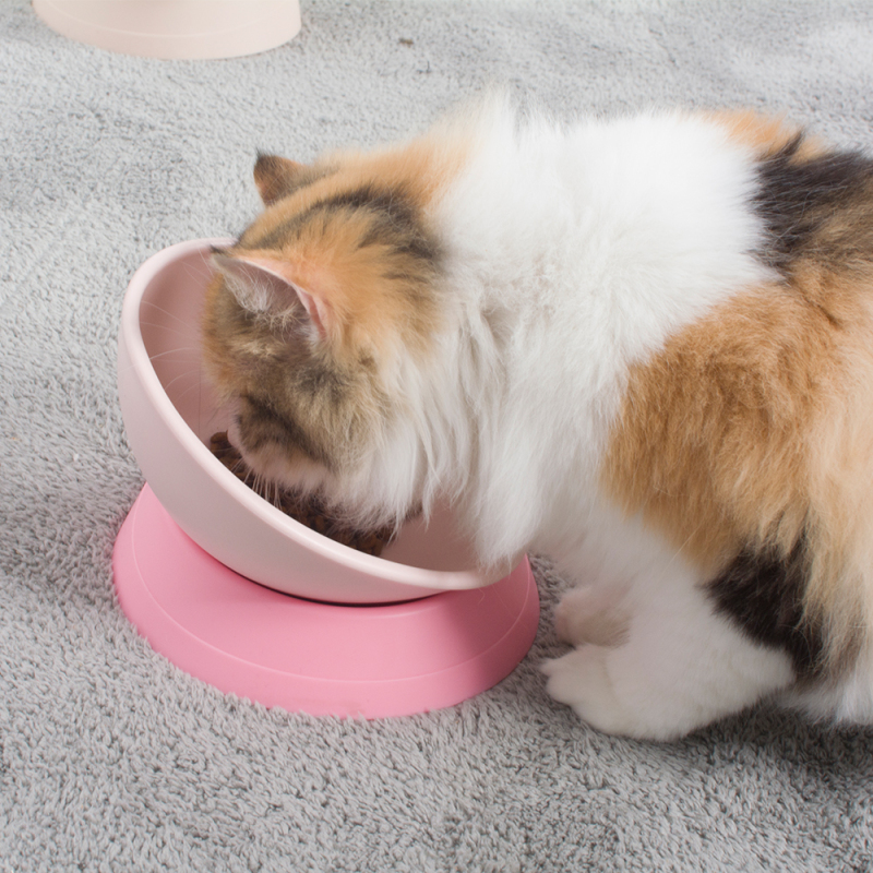 Manufacturer wholesale decent quality Non-slip portable detachable silicone adjustable angle pet dog bowl