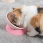 Manufacturer wholesale decent quality Non-slip portable detachable silicone adjustable angle pet dog bowl