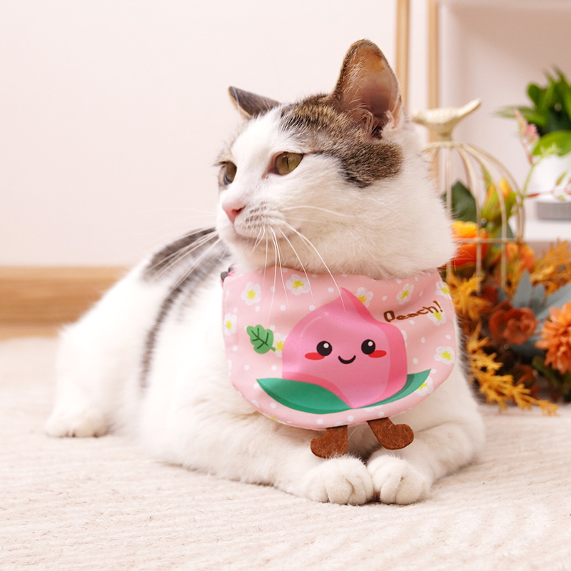 Manufacturer wholesale custom cotton fruit design cat accessories dog bandana collar