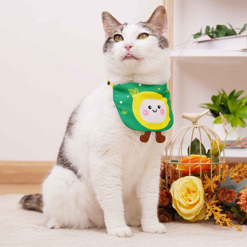 Manufacturer wholesale custom cotton fruit design cat accessories dog bandana collar