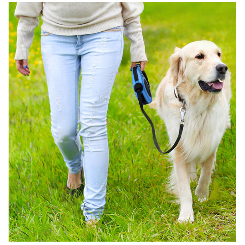 Manufacturer wholesale custom logo 5M dog retractable leash with poop bag bowl set