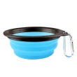 Blue bowl