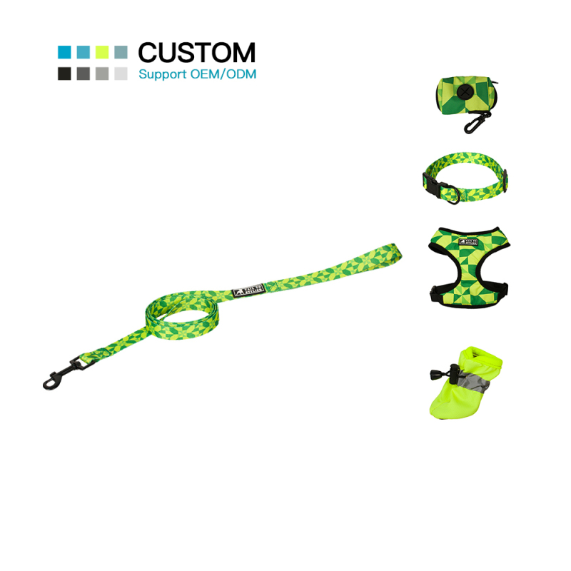 Manufacturer Wholesale Custom Logo Cheap Dog Leash Outdoor