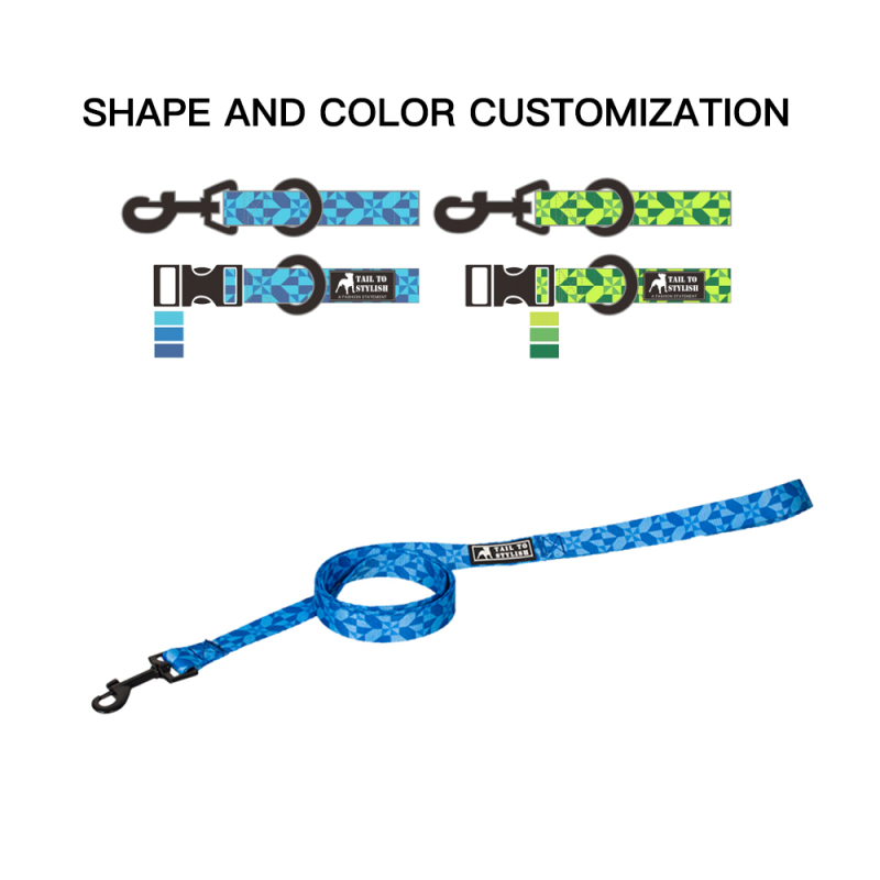 Manufacturer Wholesale Custom Logo Cheap Dog Leash Outdoor