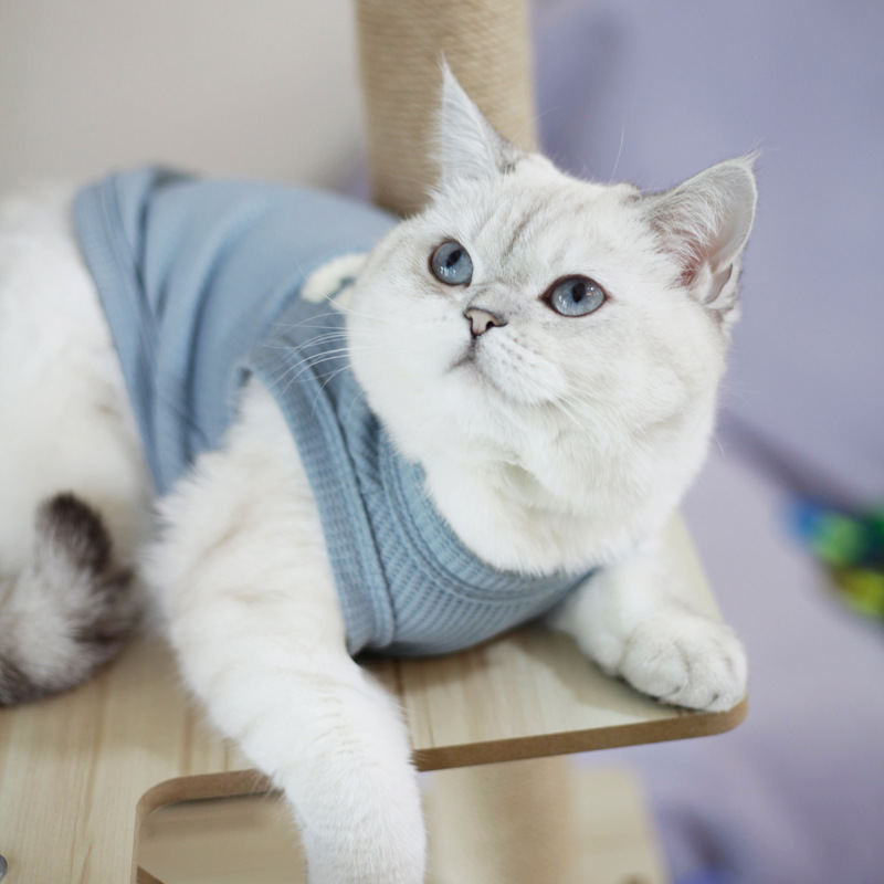 Wholesale Waffle Breathable Cat Dog T-Shirt