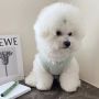 Wholesale Waffle Breathable Cat Dog T-Shirt