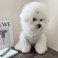 Wholesale Waffle Breathable Cat Dog T-Shirt