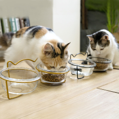 Manufacturer wholesale black gold cat dog bowl glass material
