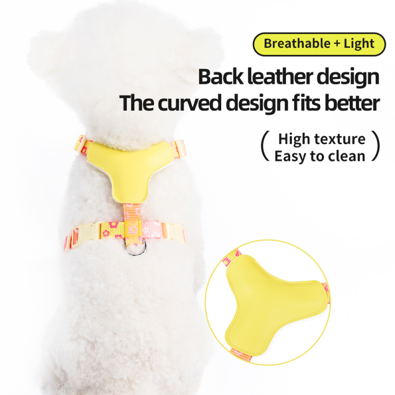 Wholesale Spring Mesh Leather Breathable Cat Small Dog Harness Vest and Leash