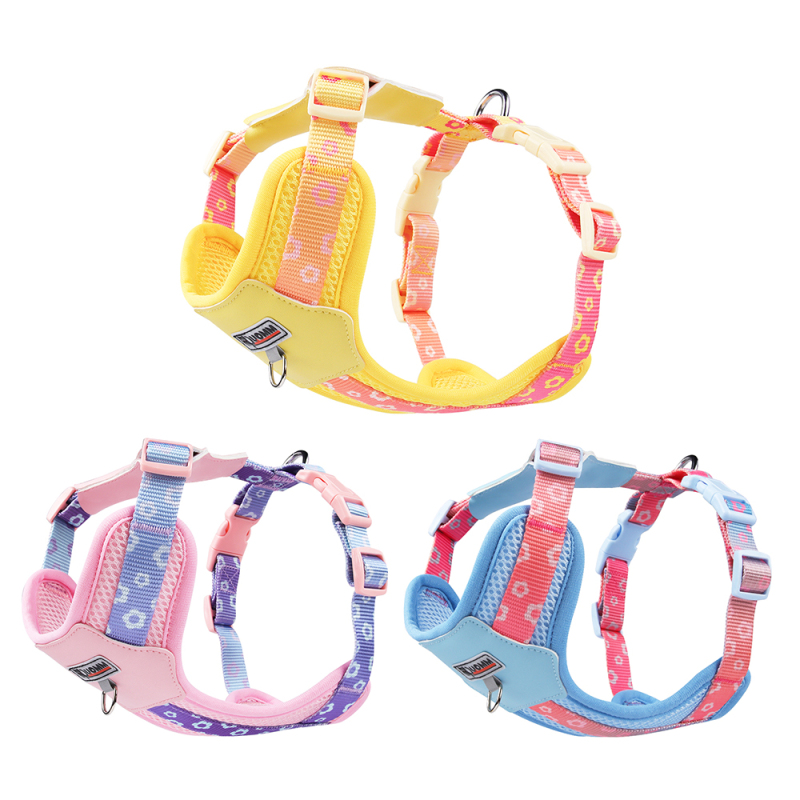 Wholesale Spring Mesh Leather Breathable Cat Small Dog Harness Vest and Leash