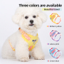 Wholesale Spring Mesh Leather Breathable Cat Small Dog Harness Vest and Leash