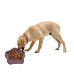 Manufacturer wholesale purple blue green yellow plastic slow feeder dog bowl star design