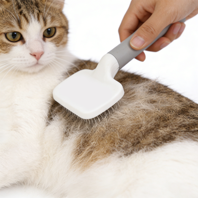 Wholesale Custom Logo Grooming Cat Pet Brush Hair Remover