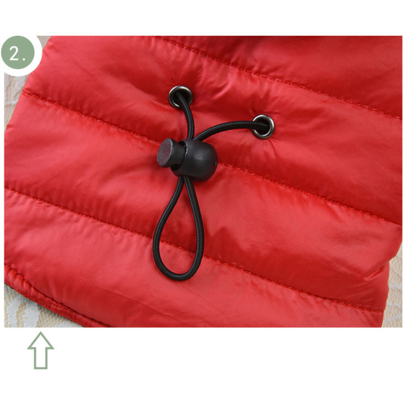 Manufacturer wholesale button design cotton winter warm pet dog coat