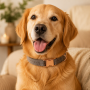 Wholesale Adjustable Dog Pet Neck Collar