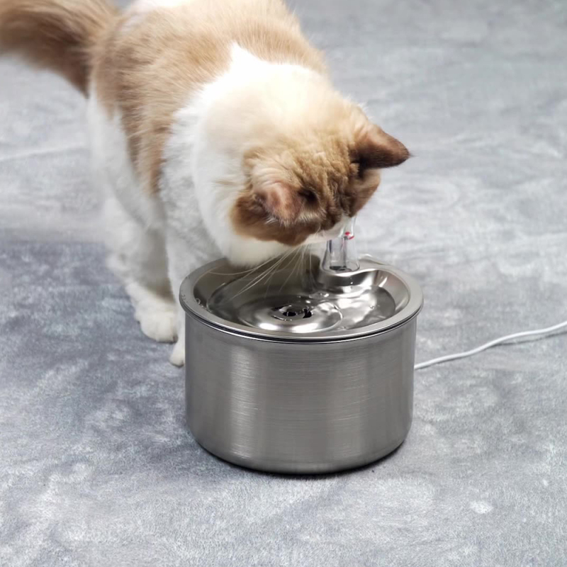 Wholesale Stainless Steel Constant Temperature Dog Cat Water Fountain