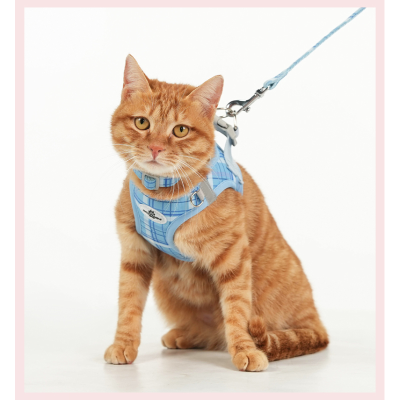 Wholesale Breathable Outdoor Collar Leash Dog Harness Kit