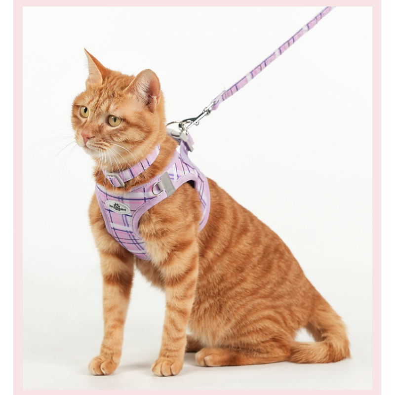 Wholesale Breathable Outdoor Collar Leash Dog Harness Kit
