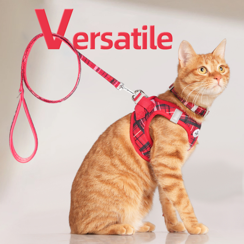 Wholesale Breathable Outdoor Collar Leash Dog Harness Kit
