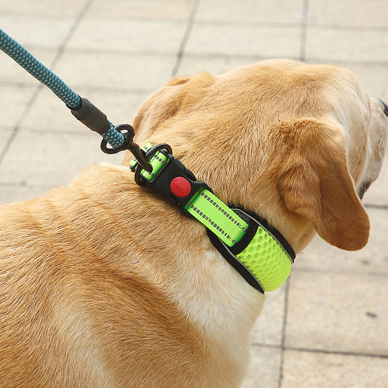 Manufacturer wholesale breathable dog collar with reflective light strip