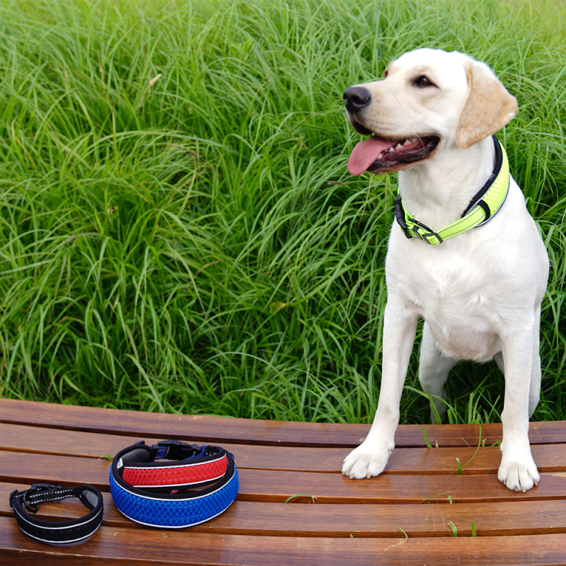 Manufacturer wholesale breathable dog collar with reflective light strip