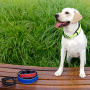 Manufacturer wholesale breathable dog collar with reflective light strip
