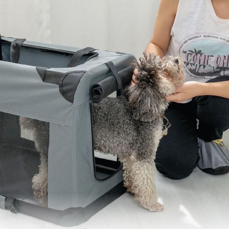 Manufacturer Wholesale Travel Portable Breathable Cheap Pet Carrier Bag