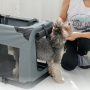 Manufacturer Wholesale Travel Portable Breathable Cheap Pet Carrier Bag