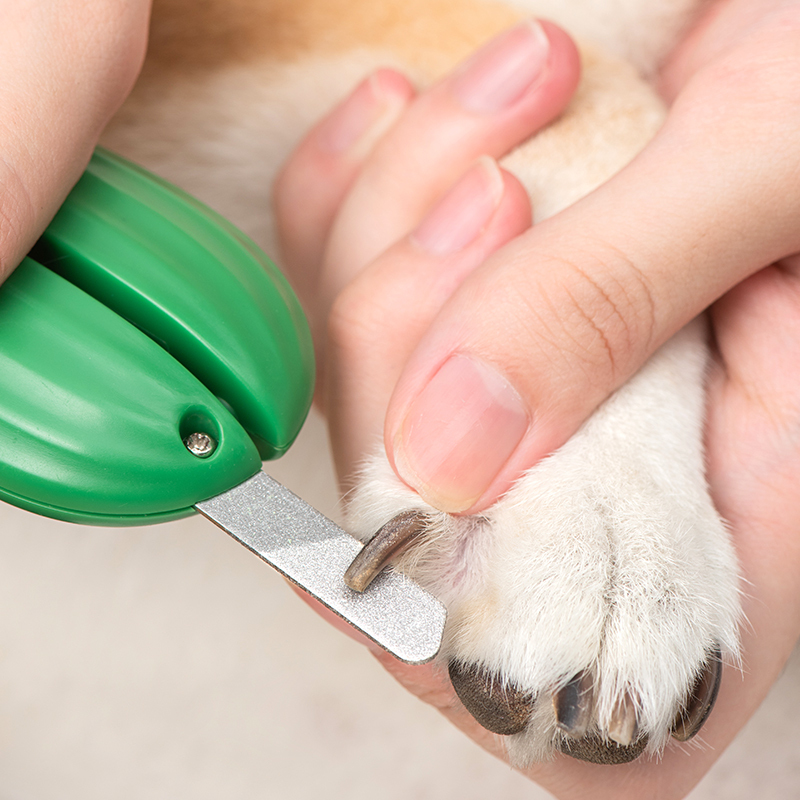 Manufacturer wholesale yellow green battery cat dog nail clippers with led light