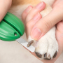Manufacturer wholesale yellow green battery cat dog nail clippers with led light