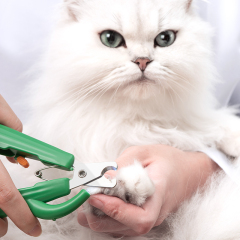 Manufacturer wholesale yellow green battery cat dog nail clippers with led light