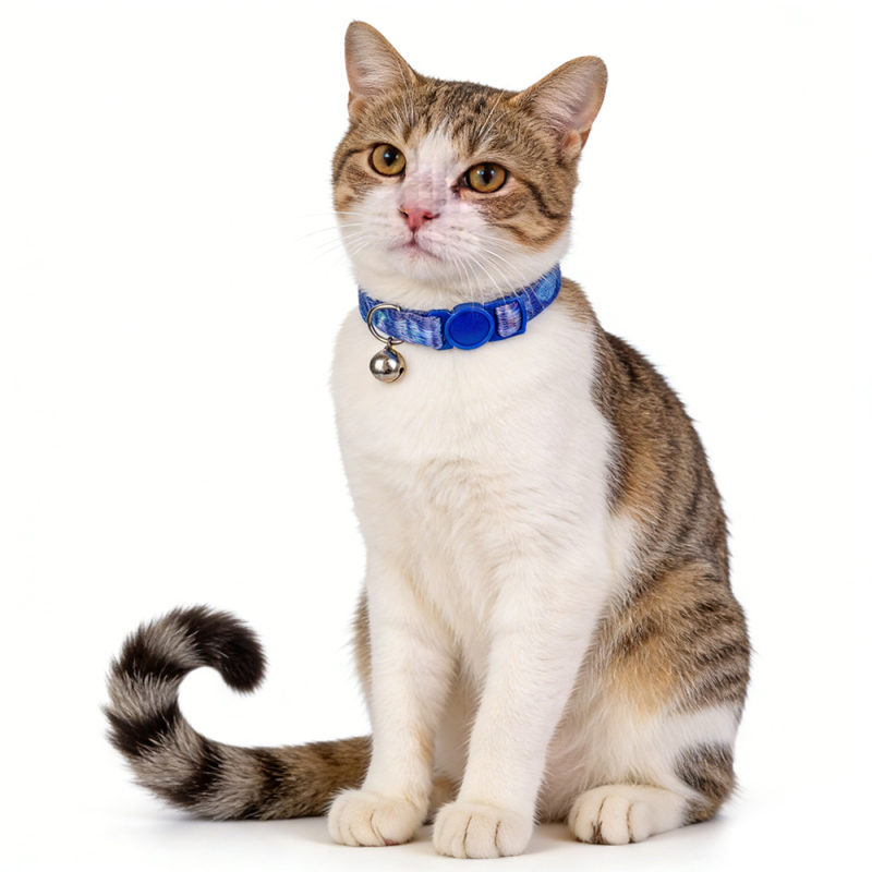 Manufacturer Wholesale Adjustable Blue Cat Collar Custom