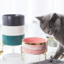 Manufacturer wholesale pink grey blue green marble pattern dog ceramic bowl with golden frame