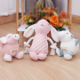 Manufacturer wholesale short plush squeaky dog chewing toy