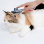 Manufacturer wholesale cat dog comb with round beads one-click hair removal