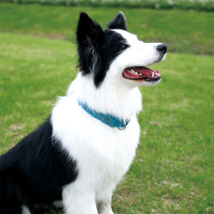 Manufacturer wholesale charge battery adjustable LED dog collar leopard design