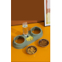 Manufacturer wholesale pet product plastic dog two bowls with water bottle dispenser