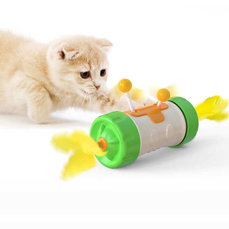 Manufacturer wholesale blue green yellow pink smart cat wheel toys