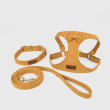3 set -Yellow