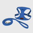 2 set -blue