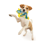 Manufacturer wholesale chew dog pp cotton stuffed toys set jungle series
