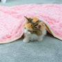 wholesale thick soft luxury fleece plush cat pet dog blanket pink beige brown