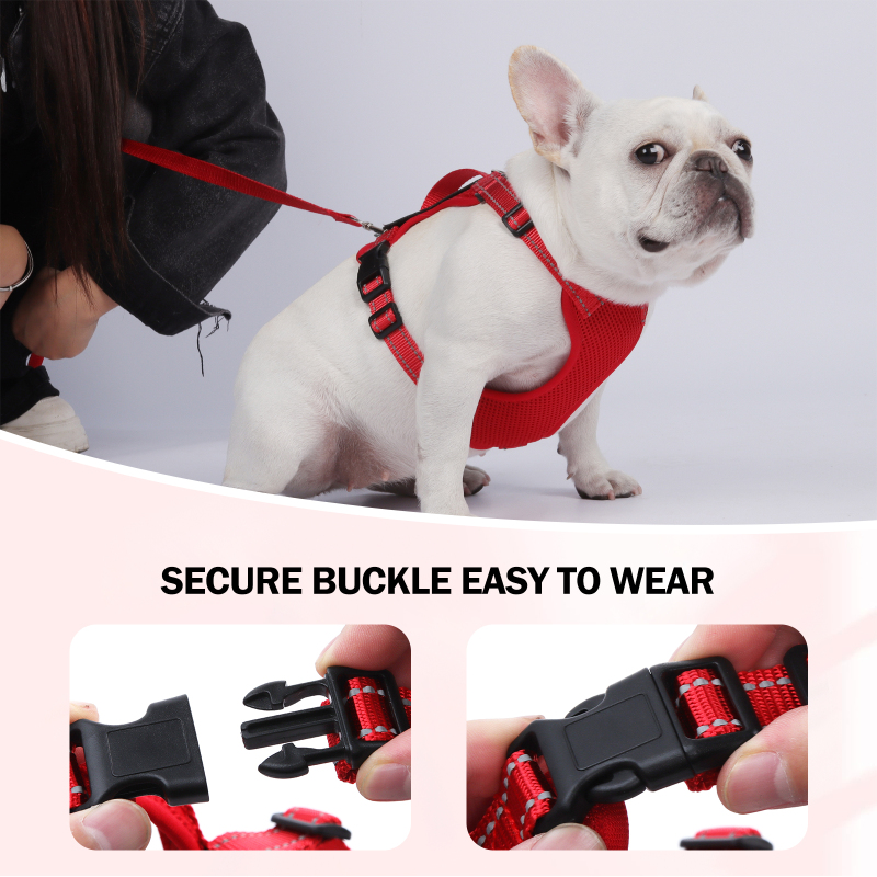 Wholesale Pet Supplier Breathable Dog Leash Harness