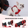 Wholesale Pet Supplier Breathable Dog Leash Harness